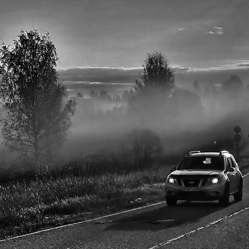 Photo #14060616