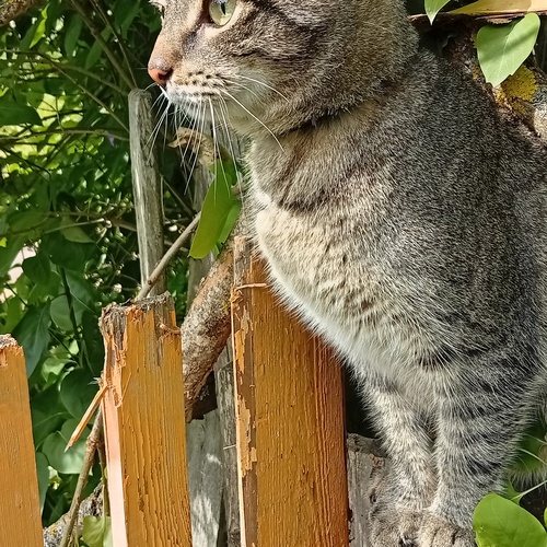 Photo #14060664