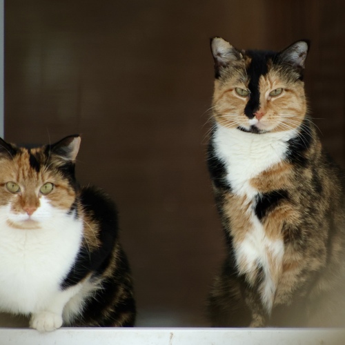 Photo #14060752