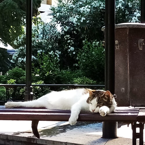 Photo #14060802