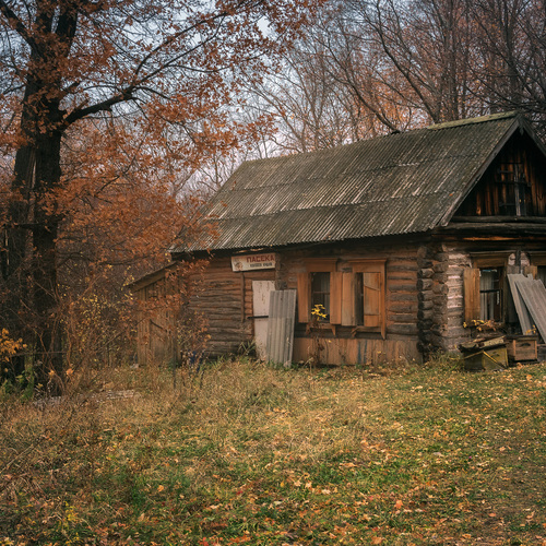 Photo #14060895
