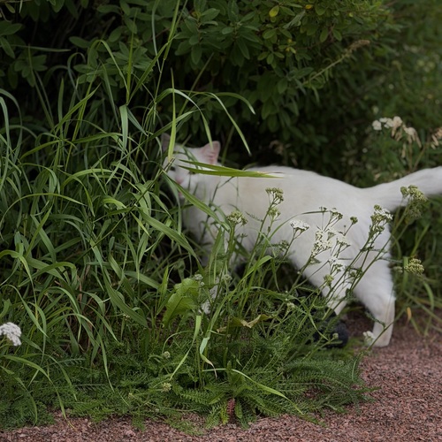 Photo #14060963