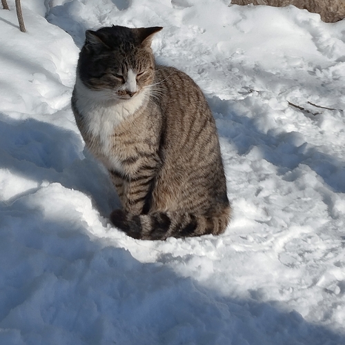 Photo #14060997
