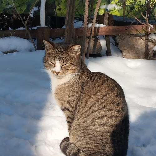 Photo #14060998
