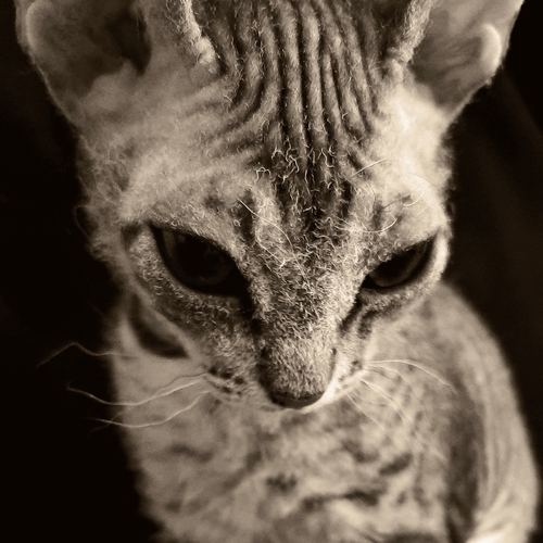 Серафима.