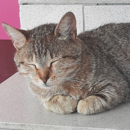 Photo #14061350