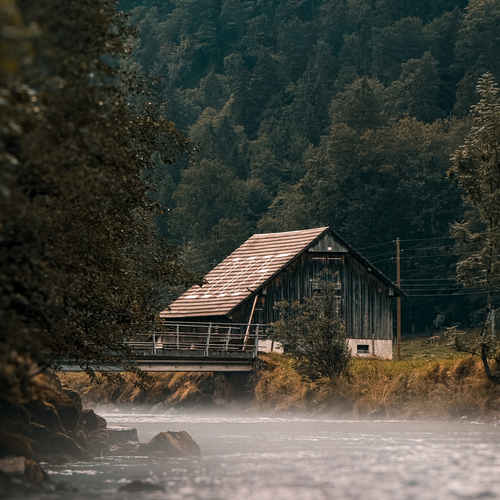 Photo #14061450