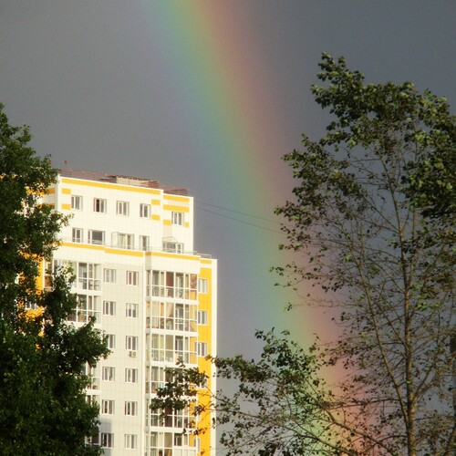 Photo #14061454