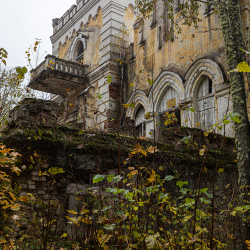 Photo #14061462