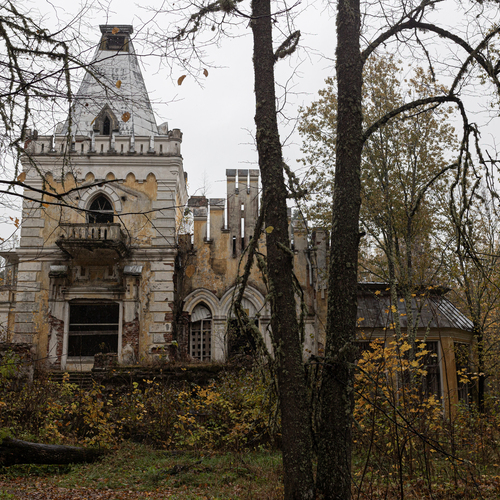 Photo #14061469
