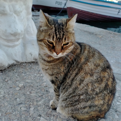 Photo #14061637