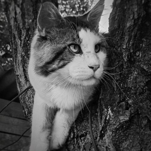 Photo #14061642