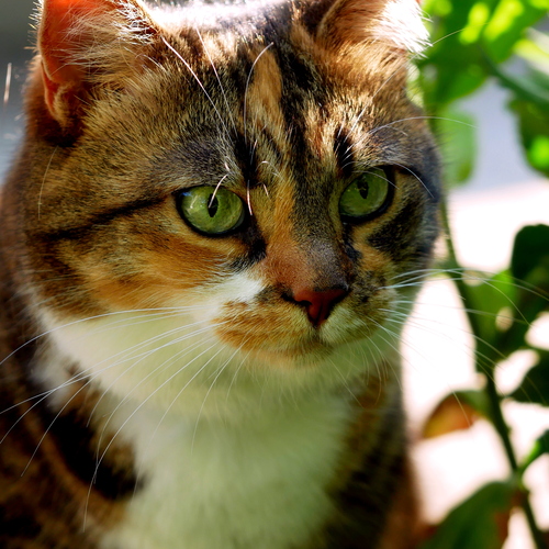 Photo #14061737