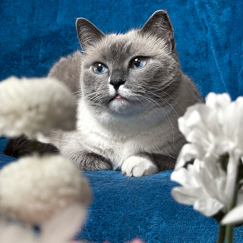 Photo #14061844