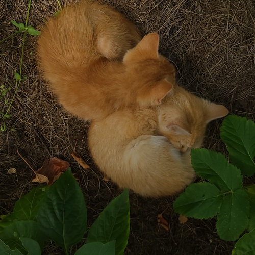 Photo #14061852