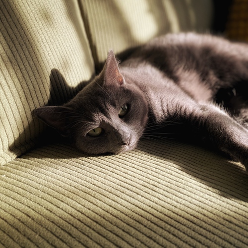 Photo #14061913