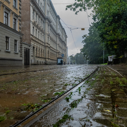 Фотография #14061944