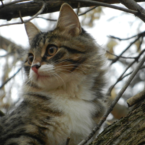 Photo #14062004