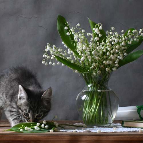 Photo #14062028