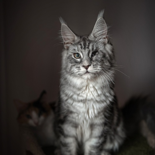 Photo #14062075