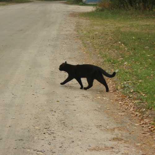 Photo #14062196