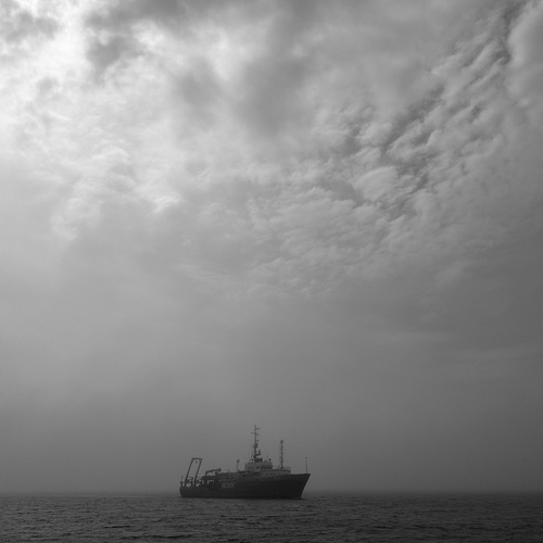 Photo #14062223