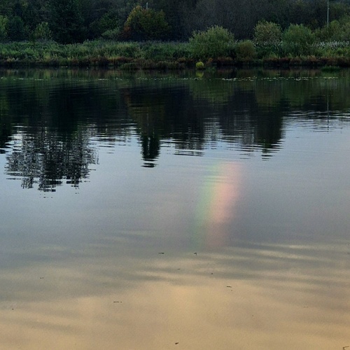 Photo #14062253