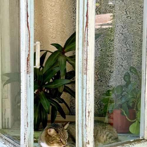 Photo #14062344