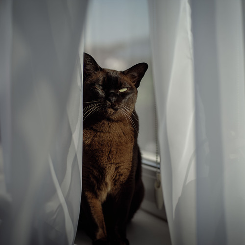 Photo #14062404