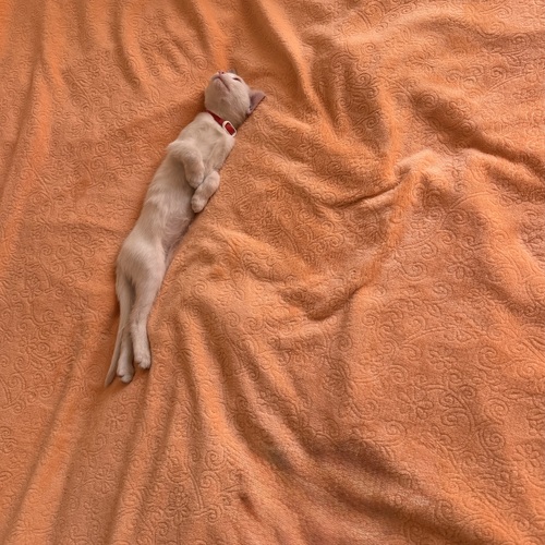 Photo #14062445