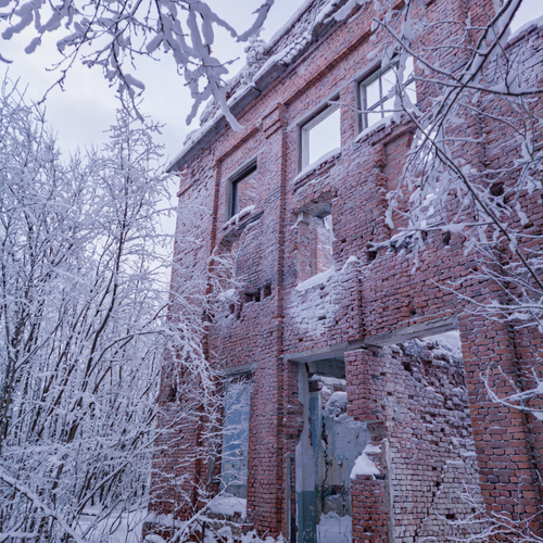 Photo #14062446
