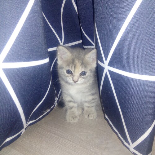 Photo #14062455