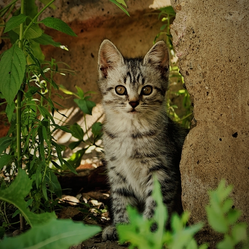 Photo #14062531