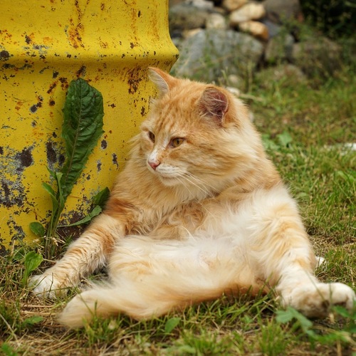 Photo #14062552