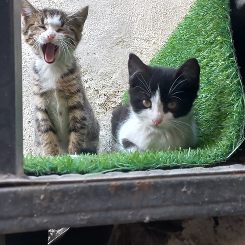 Photo #14062556