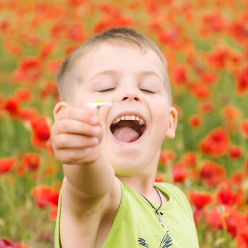 Photo #14062670