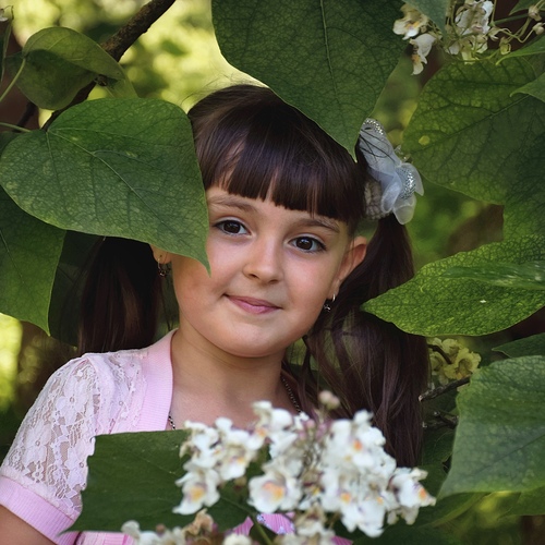 Photo #14062673