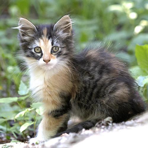 Photo #14062757