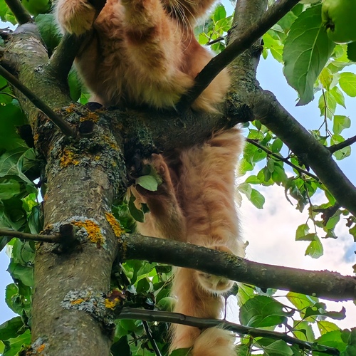 Photo #14062758