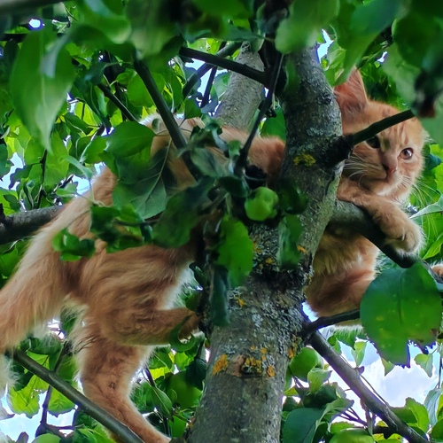 Photo #14062766