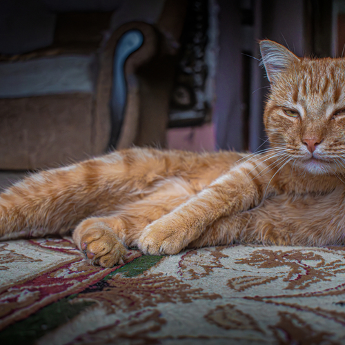 Photo #14062841