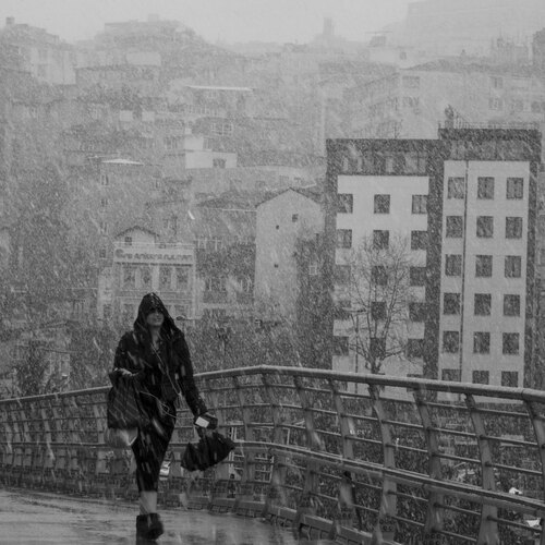 Photo #14062863