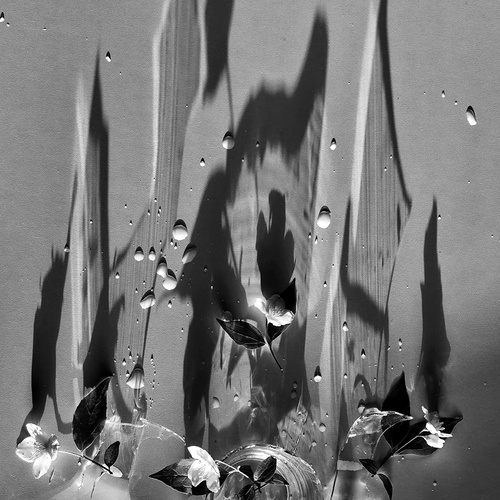 Photo #14062866
