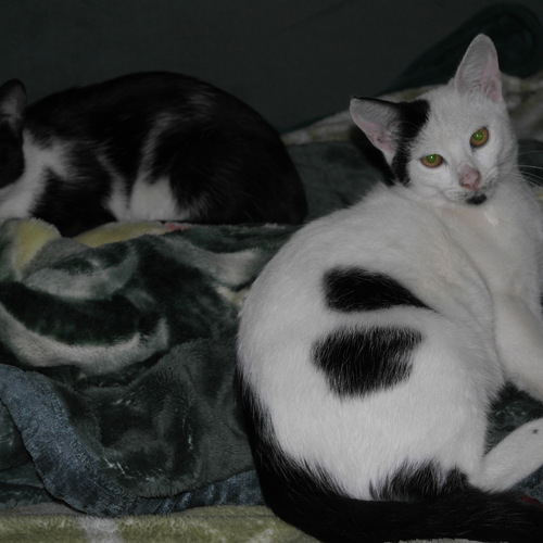 Photo #14062875