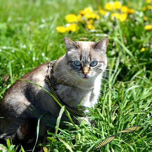 Photo #14062890