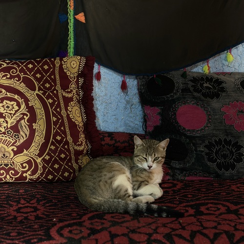 Photo #14062965