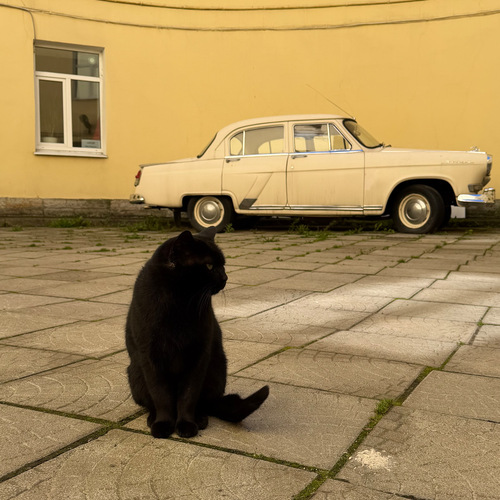 Photo #14062992