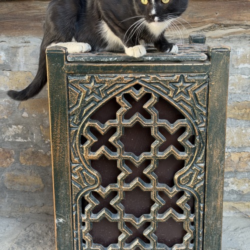 Photo #14062994