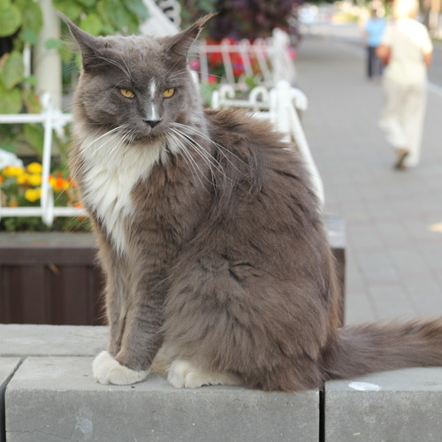 Photo #14063033
