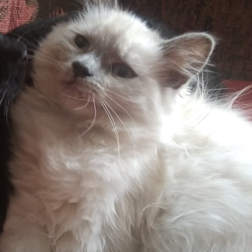 Photo #14063118